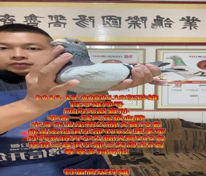 o(w)f(wn)۪{̖(ho)컨ٶ֮