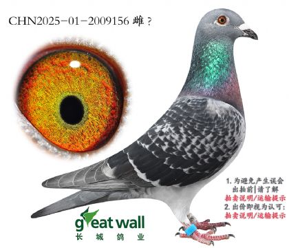 1.sҫ̖x_(chung)܊Ѫϵ.2009156