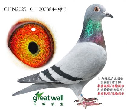 3._(chung)C63x24.2008844