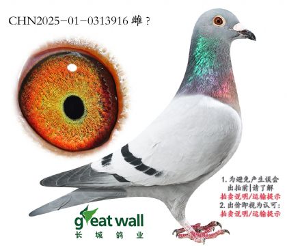 5._(chung)C18Ӵ.0313916