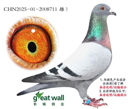 10.ղ˹801x_(chung)13.2008711