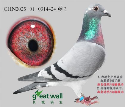 14.ɽQِ܊ƽ݅.0314424