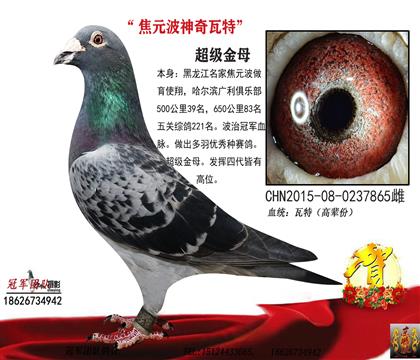 母親一瓦特金母(焦元波原舍)