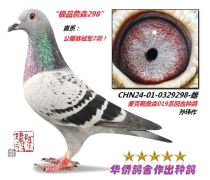 4̖--OƷղɭCHN24-01-032