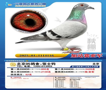 国力秋棚加站赛亚军