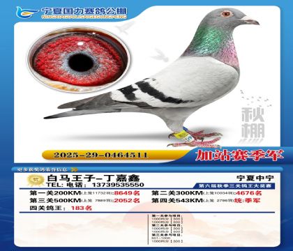 国力秋棚加站赛季军