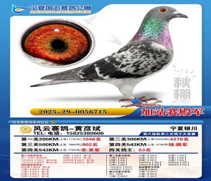 国力秋棚加站赛4名