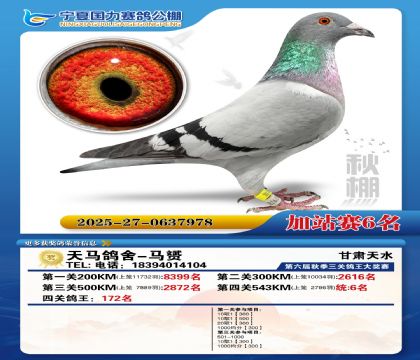 国力秋棚加站赛6名