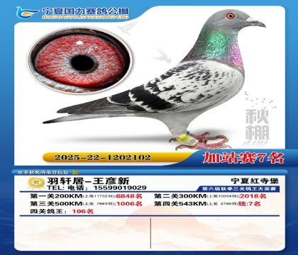 国力秋棚加站赛7名