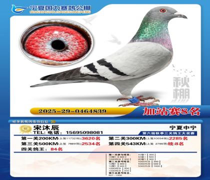 国力秋棚加站赛8名