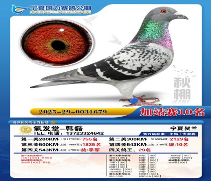 国力秋棚加站赛10名