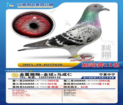 国力秋棚加站赛11名