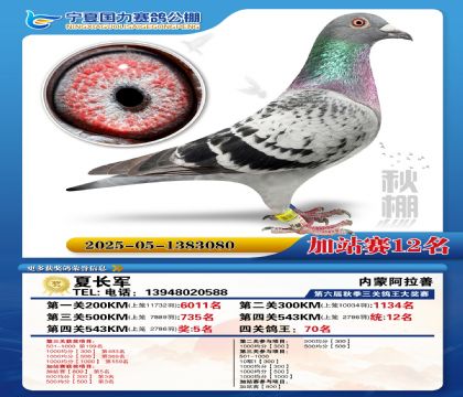 国力秋棚加站赛12名