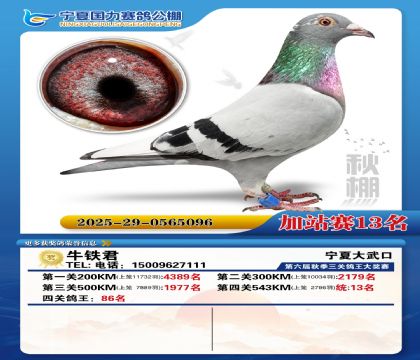 国力秋棚加站赛13名