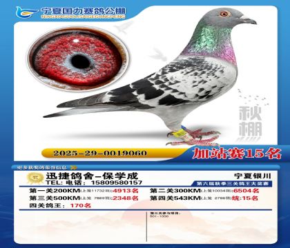 国力秋棚加站赛15名