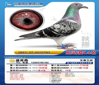 国力秋棚加站赛14名