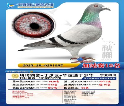 国力秋棚加站赛16名