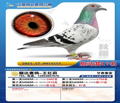 国力秋棚加站赛17名