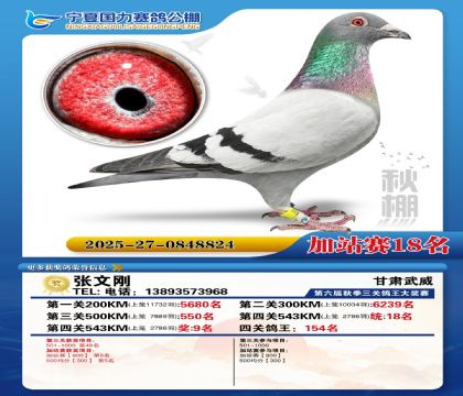 国力秋棚加站赛18名