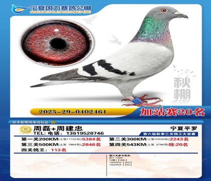 国力秋棚加站赛20名