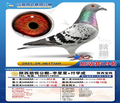 国力秋棚加站赛19名