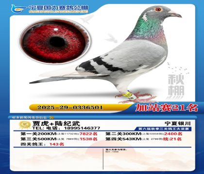 国力秋棚加站赛21名