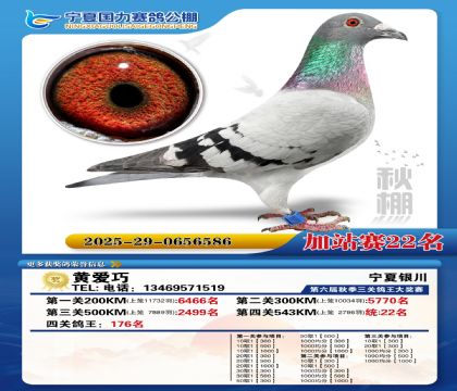 国力秋棚加站赛22名