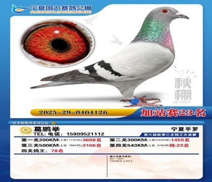 国力秋棚加站赛23名