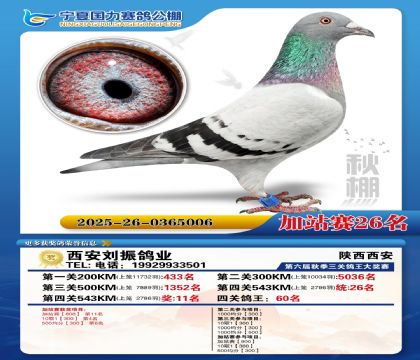 国力秋棚加站赛26名