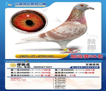 国力秋棚加站赛28名