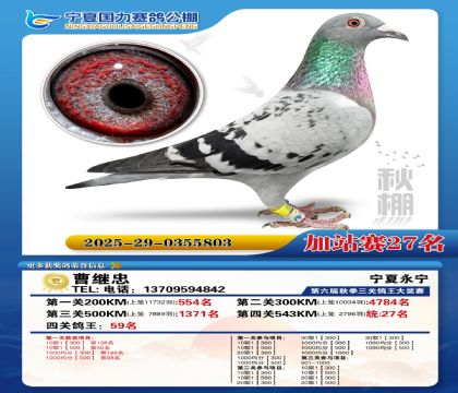 国力秋棚加站赛27名