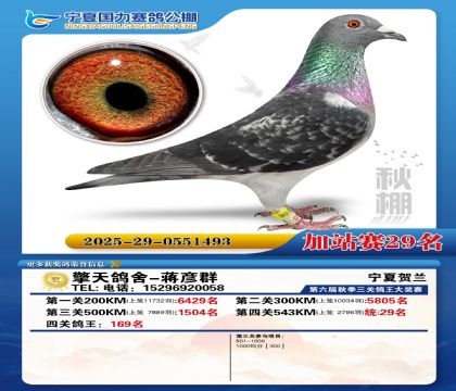 国力秋棚加站赛29名