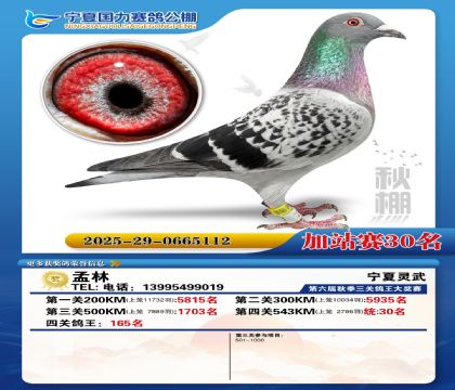 国力秋棚加站赛30名