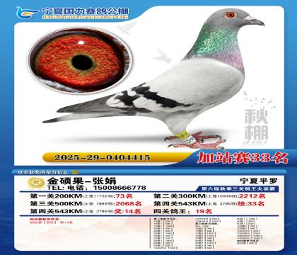 国力秋棚加站赛33名