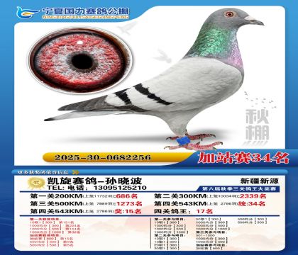 国力秋棚加站赛34名