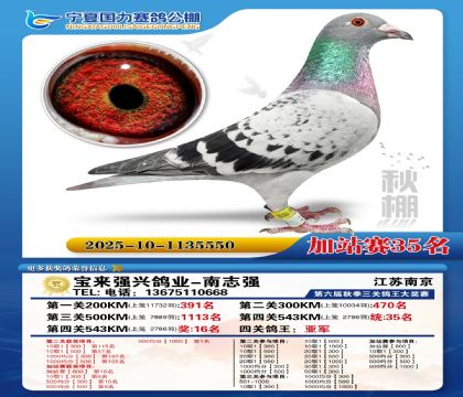 国力秋棚加站赛35名