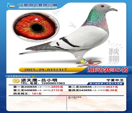 国力秋棚加站赛38名