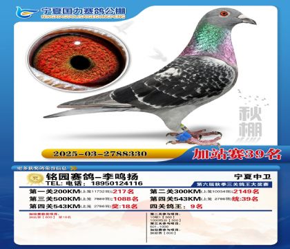 国力秋棚加站赛39名