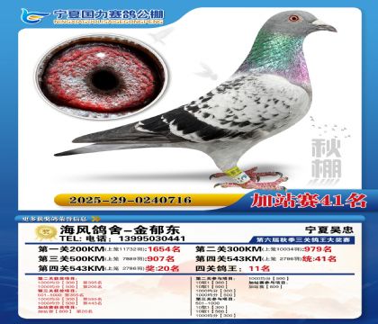 国力秋棚加站赛41名