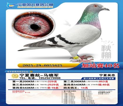 国力秋棚加站赛40名