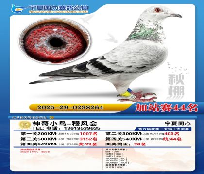 国力秋棚加站赛44名