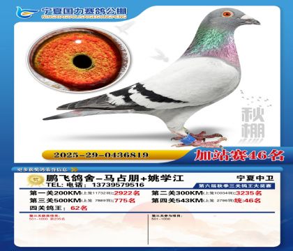 国力秋棚加站赛46名