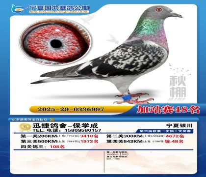 国力秋棚加站赛48名