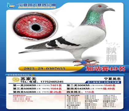 国力秋棚加站赛49名