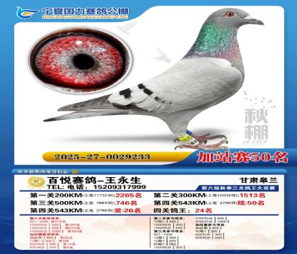 国力秋棚加站赛50名