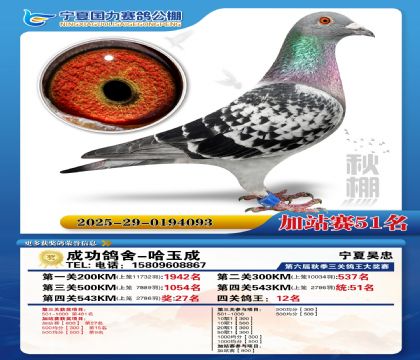 国力秋棚加站赛51名