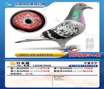 国力秋棚加站赛54名