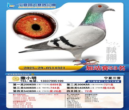 国力秋棚加站赛53名