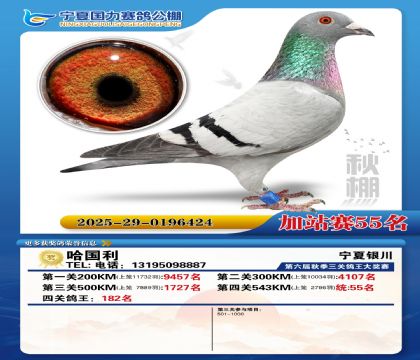 国力秋棚加站赛55名