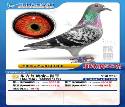 国力秋棚加站赛58名